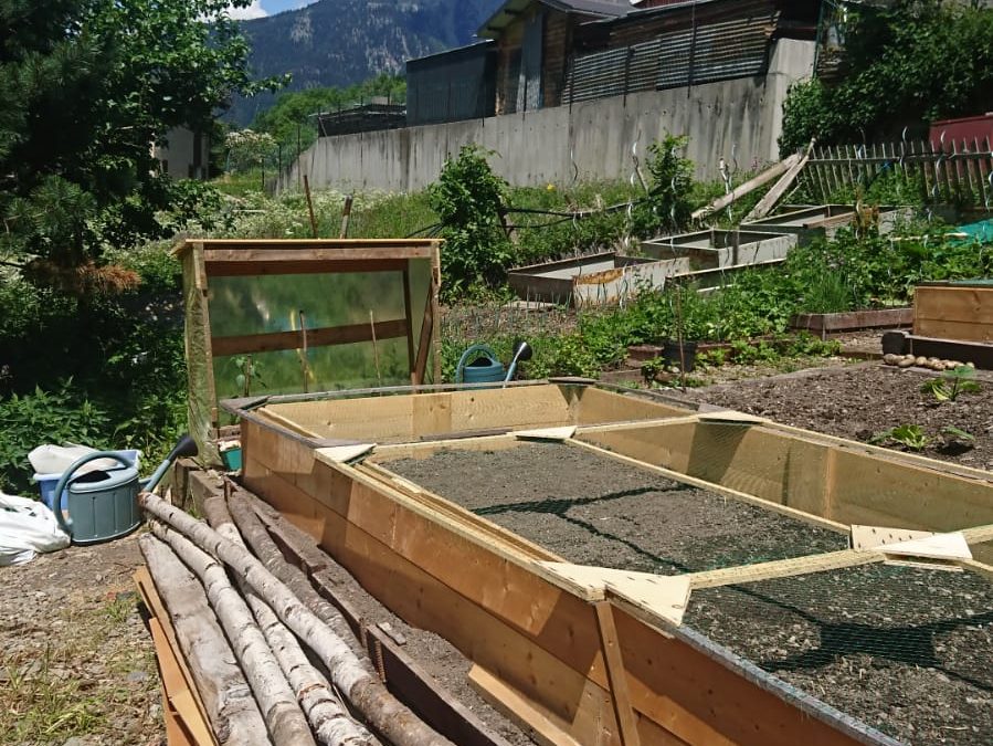 Upcycling bedrooms to vegetables !